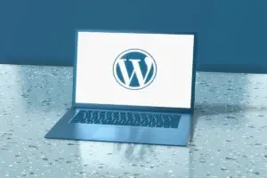 Wordpress rewrite规则与固定链接系统深度解析 300x200